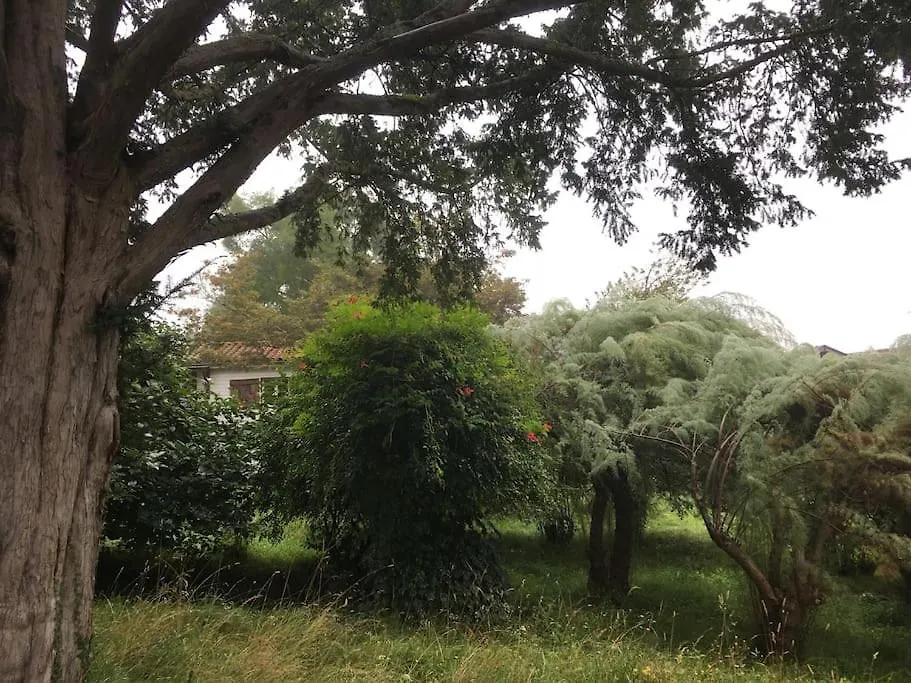 Lerable Pourpre De La Grotte Au Lion Villa Arbon Holiday home
